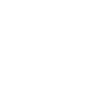 twitter | GEMINI